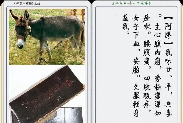 极其精美中草药(图文)(不收藏是你的损失)