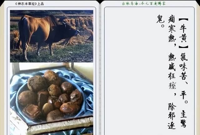 极其精美中草药(图文)(不收藏是你的损失)