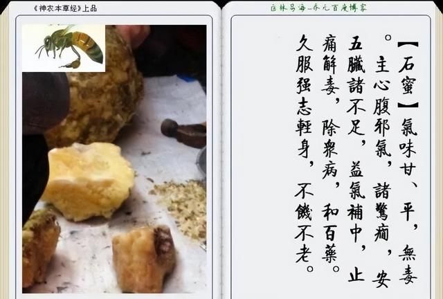 极其精美中草药(图文)(不收藏是你的损失)