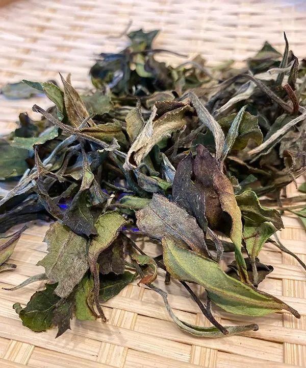 最银南 | 白茶的功效