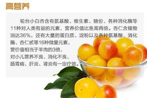 小白杏有哪些营养价值,小白杏有哪些营养价值呢图4