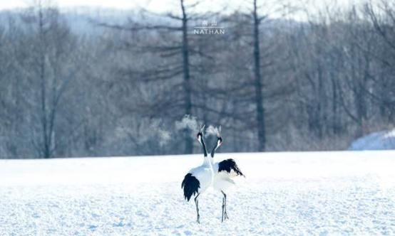 日本北海道好玩吗,北海道好玩吗图3