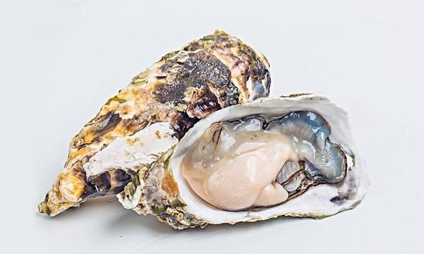 蚝肉如何做好吃(蚝肉干做法大全)图1