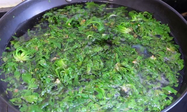 春暖花开野菜正当季，这款好吃又好做的小饼一定不要错过哦！