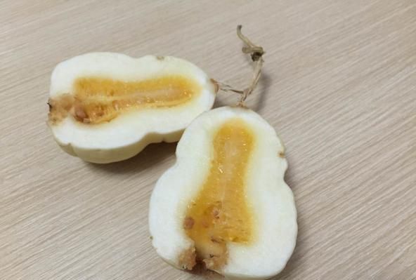 餐桌物种日历 | 7月29日 香瓜茄