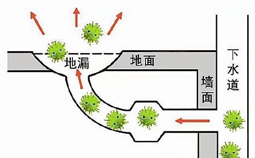 邻居“阳”了，病毒会顺着下水道到我家吗？马桶会传播病毒吗？