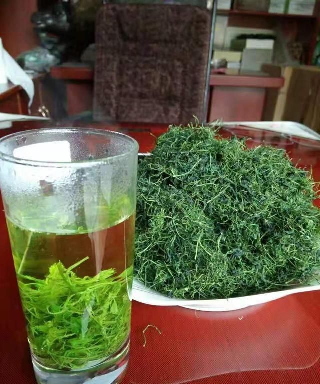 如何使用“女娲神草”绞股蓝茶？