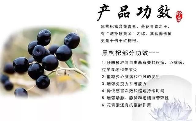 别喝黑枸杞，它有“毒”，会让身体会有哪些惊人变化？