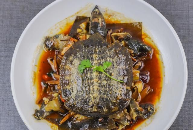 甲鱼在家怎么烹饪？厨师长教你简单又好吃的做法，教程详细无保留