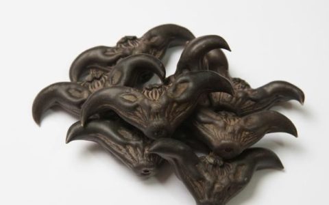 长的像牛角一样的中药