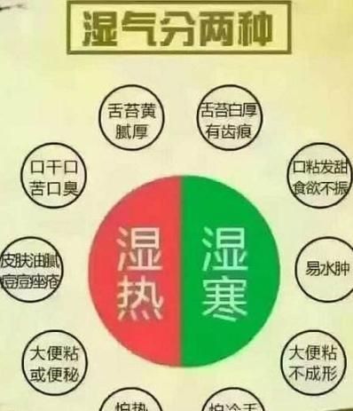 湿气重的人怎么排湿最快的方法,湿气重的人怎么排湿排便图3