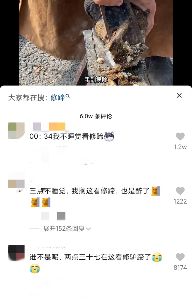 年轻人解压方式有多野？上亿人看修驴蹄，还爱看抠藤壶挤痘痘