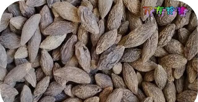 美食香辛料 卤煮 家庭 厨房调料大全集成（五）全10章