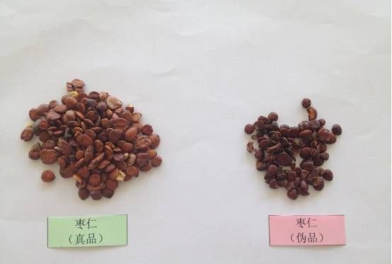 如何鉴别宁心安神的常用中药枣仁图6