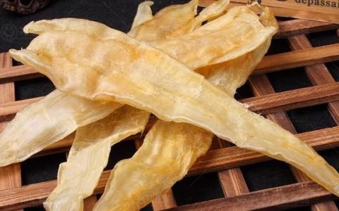 备孕吃鱼胶吃法，备孕期间可以吃鱼胶吗,吃鱼胶养生吗有影响吗