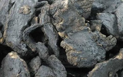 生地黄和熟地黄谁更通血益气,生地黄跟熟地黄哪个适合肾阴虚