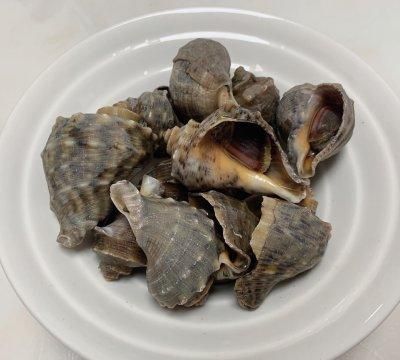 简单懒人菜清蒸海螺，打败周一综合征