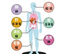 哪些东西具有排毒的功效,什么东西是排毒最好的图8
