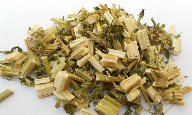 益母草