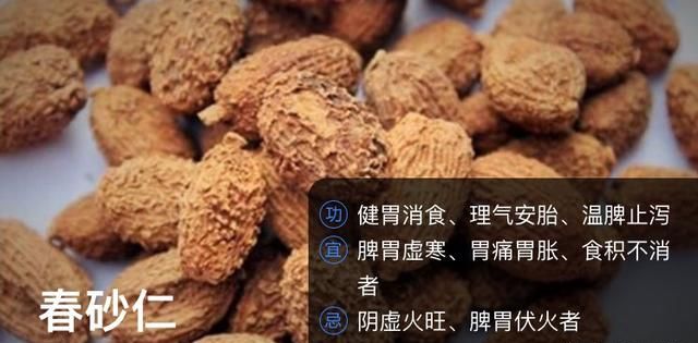 春砂仁泡蜂蜜功效作用可以修复胃黏膜吗图1