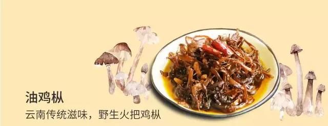 云南最不可错过的诱惑美食——油鸡枞，有什么让人上瘾的秘诀？