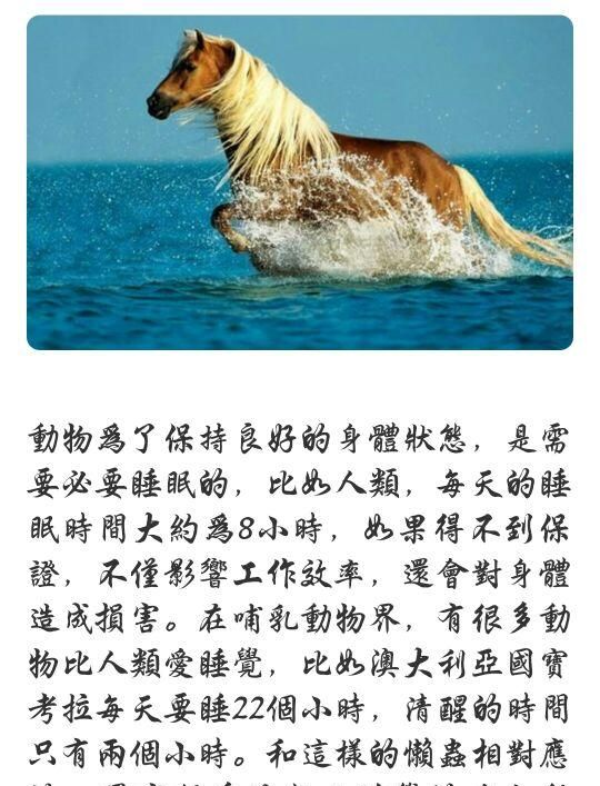 象牙的重要意义