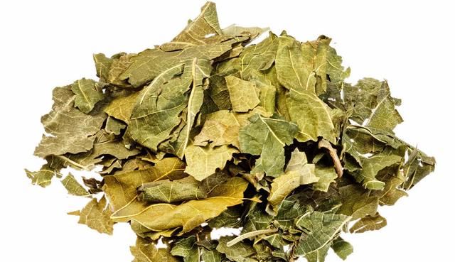 桑叶能降血糖吗？中医和西医分别给出了答案