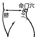 按摩穴位解决健康烦恼