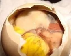 鸡蛋也能要人命！这6种鸡蛋绝对不能吃