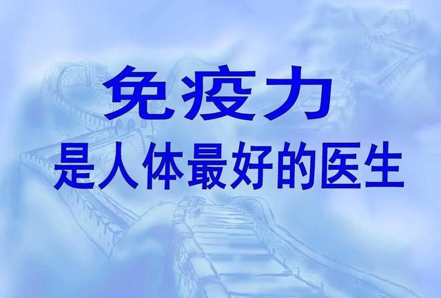 提升免疫力，深度剖析:蛋白质,一个不可忽视的重要角色