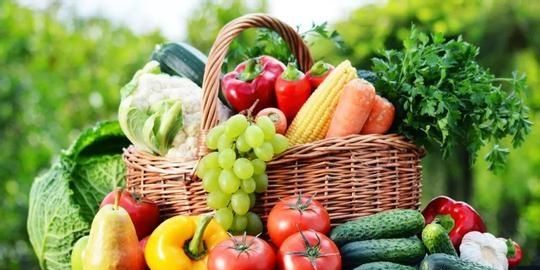 有机肥在蔬菜上的作用与功效,什么是有机蔬菜有机肥图4