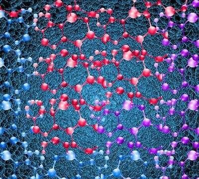 小分子肽到底是什么,大豆小分子肽的功效图7