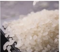 吃现碾大米对身体危害有多大呢(生吃大米对身体有什么危害吗)图5