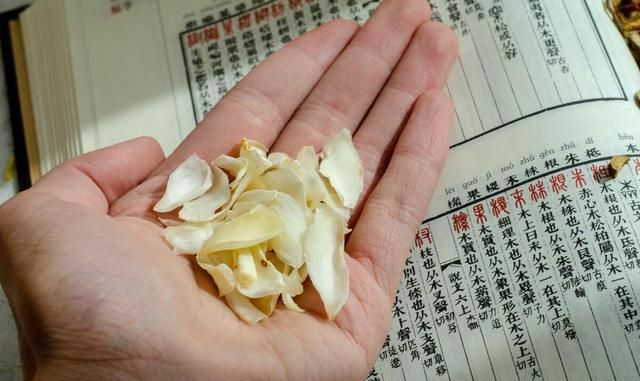 百合（补阴药）
