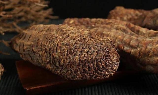 肾好百病消，两味中药泡水，滋肾阴 补肾阳，增强免疫 让你远离疾病