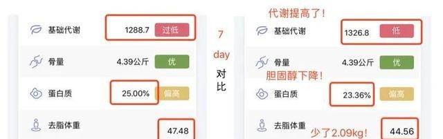 「海淘」爆火日本瘦身神器！餐前吃2粒，大鱼大肉随便吃都不胖