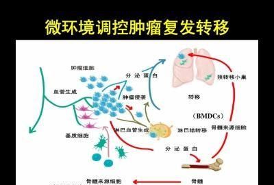 瑞戈非尼靶向药的使用方法图4