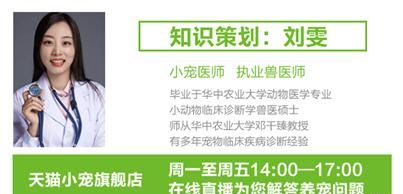 猫咪滴虫怎么治(猫咪得三毛滴虫)图9
