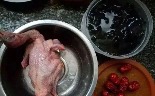 好吃到流口水的两种鸽子烹饪方法，营养又美味