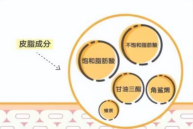 角鲨烯，被发现于鲨鱼中，有什么用？研究：角鲨烯的4大功效解密