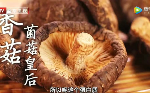 菌菇和什么搭配营养最好(菌菇和什么一起炖会更鲜)