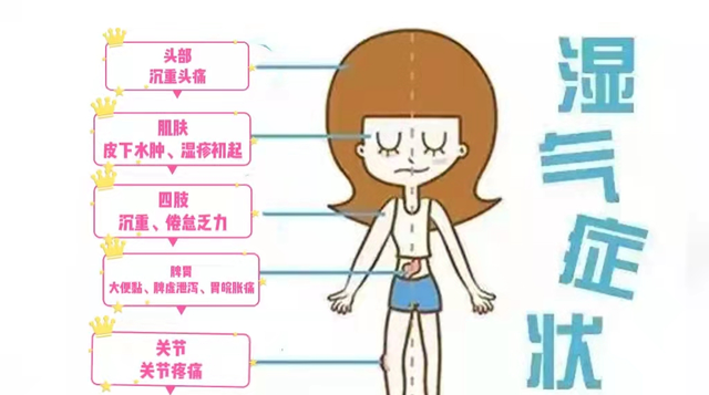 【药师说药】小薏米，大能量！阴雨天，祛湿好物薏米应该怎么吃？