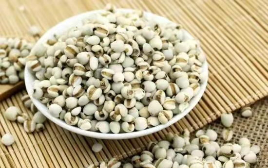 【药师说药】小薏米，大能量！阴雨天，祛湿好物薏米应该怎么吃？