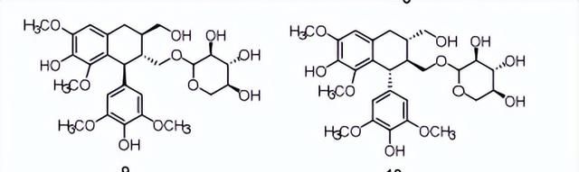 黄心树的化学成分及其生物活性研究
