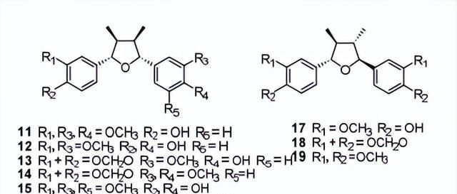 黄心树的化学成分及其生物活性研究