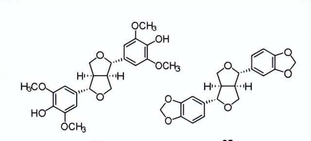 黄心树的化学成分及其生物活性研究