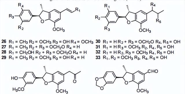 黄心树的化学成分及其生物活性研究