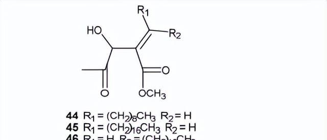 黄心树的化学成分及其生物活性研究