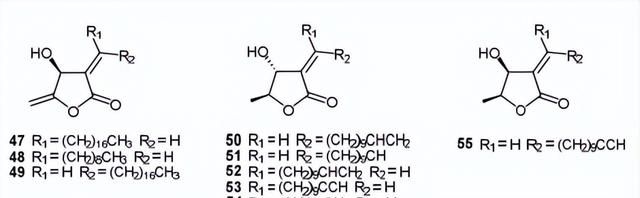 黄心树的化学成分及其生物活性研究