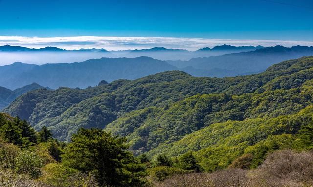 吃货的狂欢节，鲁山美食烤鸡子、羊杂可、八大碗、揽锅菜齐聚尧山